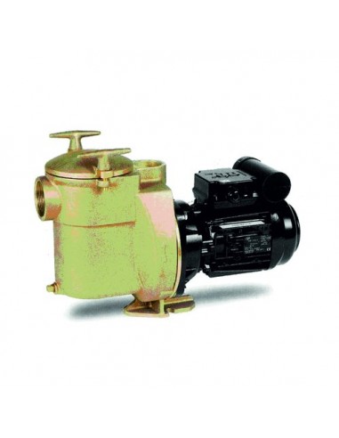 Pompe Sta-Rite Bronze 0.37kW 1/2CV 230V