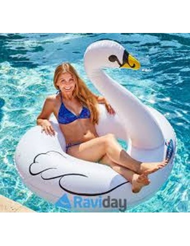 Le Cygne